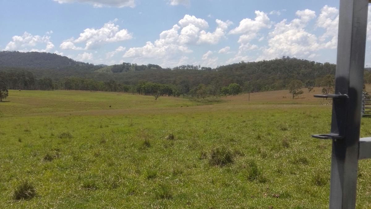 Bungoona