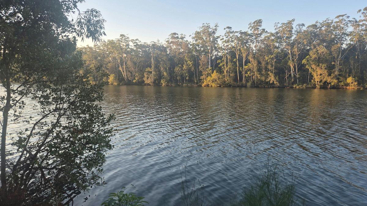 Camden Haven Airfield & Campground