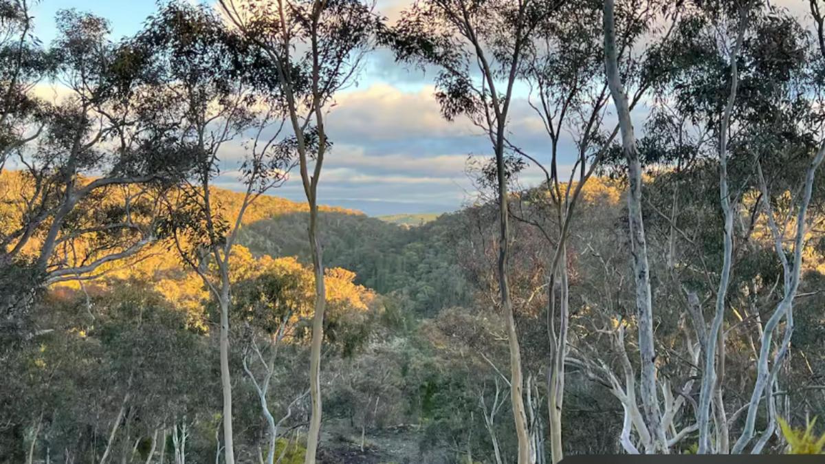 Bush Rest for Canberra Adventure