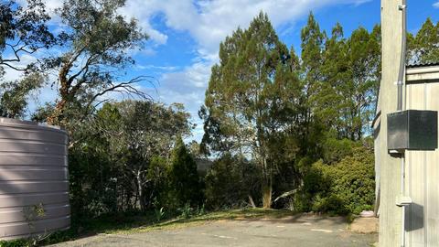 Bush Rest for Canberra Adventure
