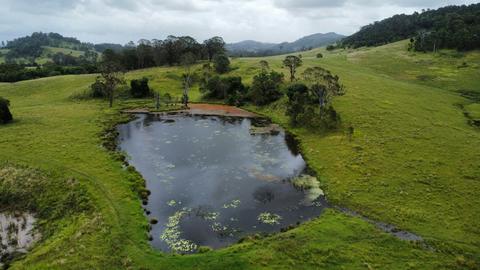 Bunyah Creek Hideaway