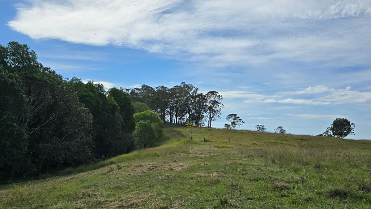 Bunyah Creek Hideaway