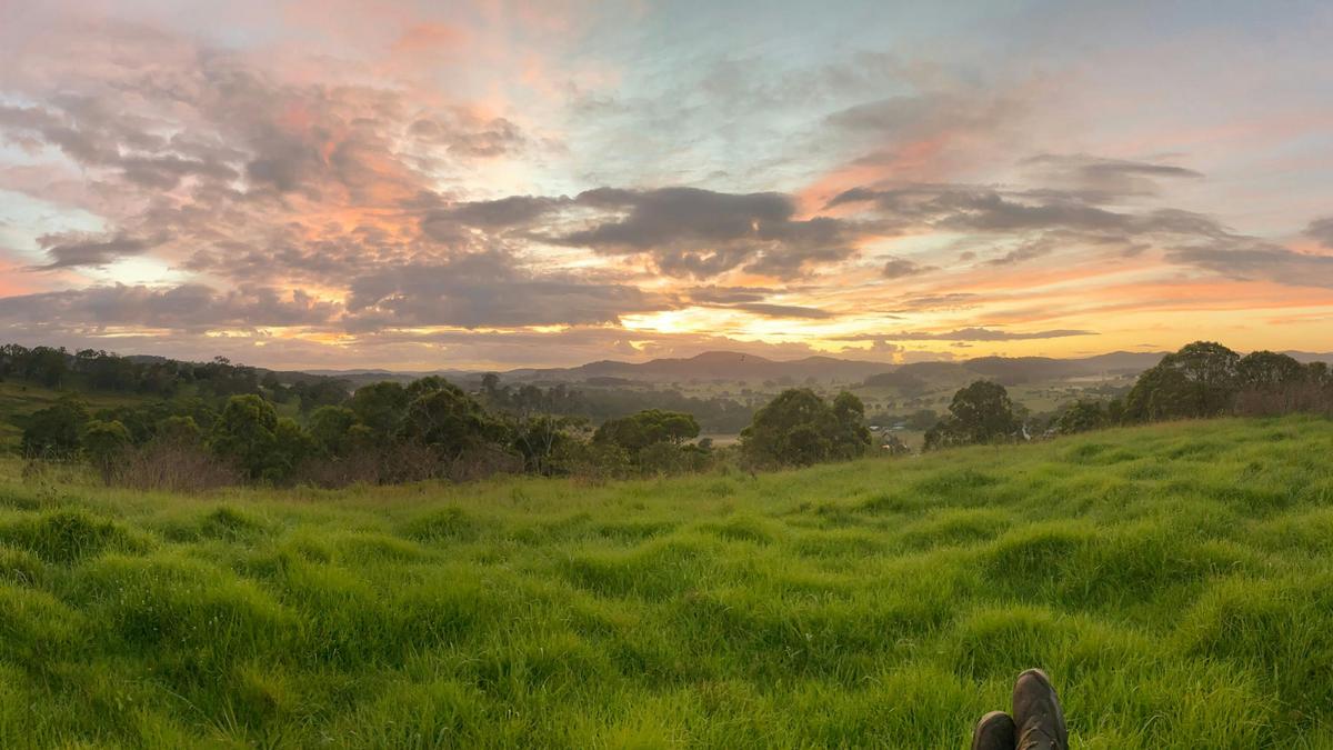 Bunyah Creek Hideaway