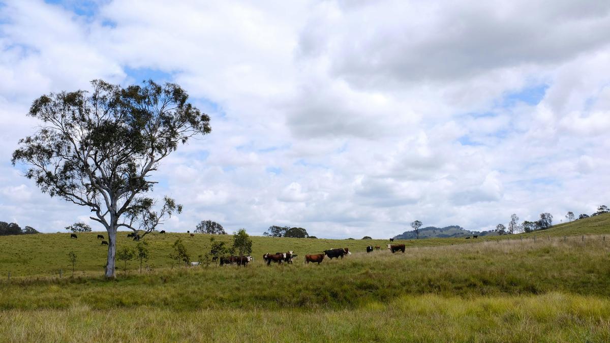 Bunyah Creek Hideaway