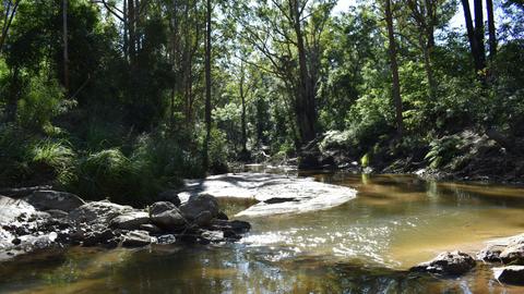 Camp Yerriyong