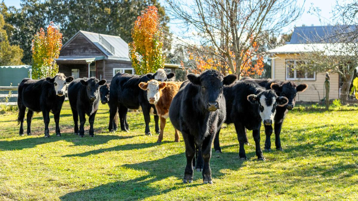 Cambathin Farm Stay