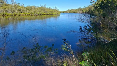 Currambene Creek Escape