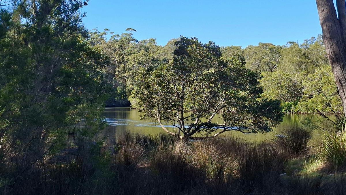 Currambene Creek Escape