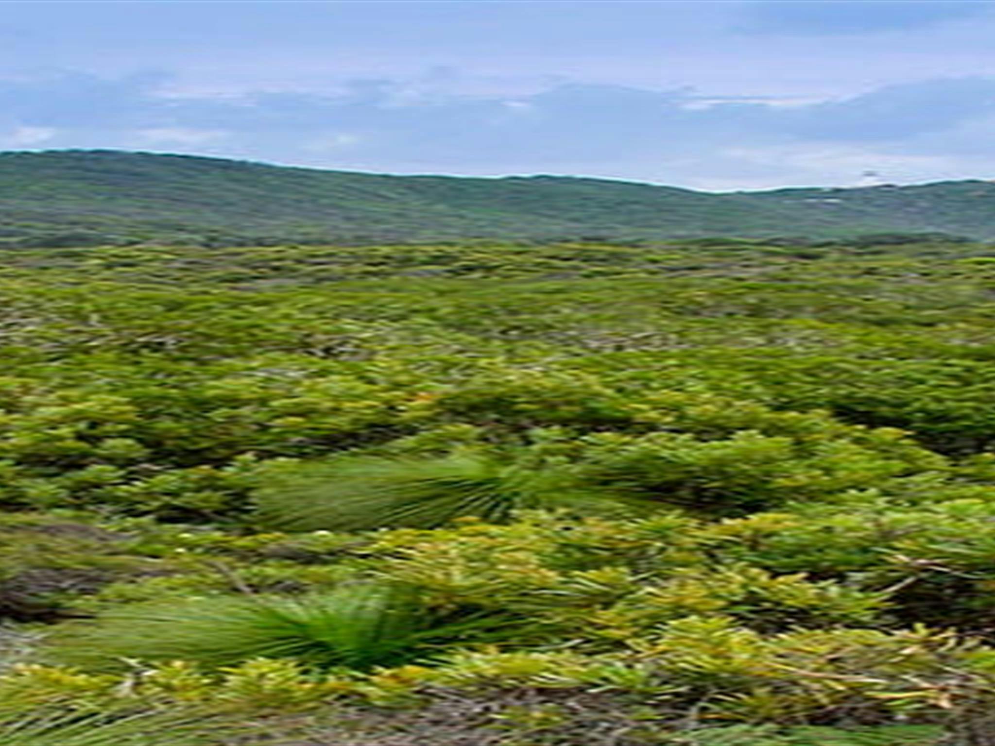 Arakwal National Park. Photo: John Spencer/NSW Government