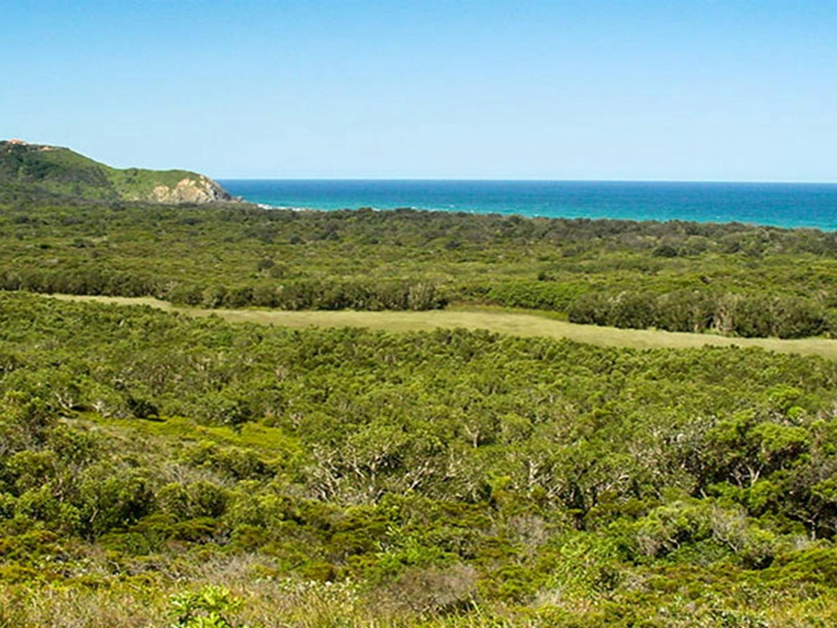Arakwal National Park. Photo: John Spencer/NSW Government