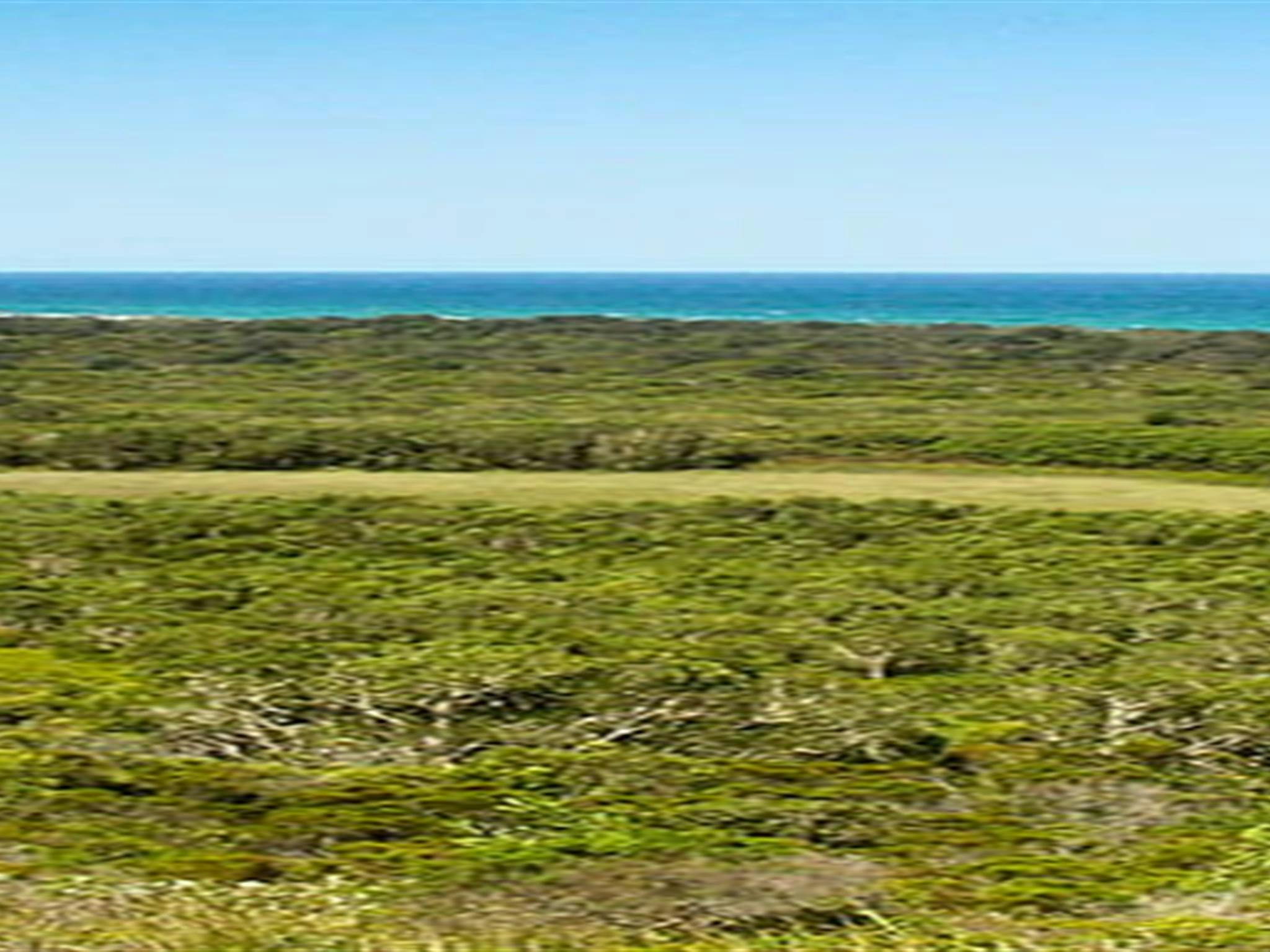 Arakwal National Park. Photo: John Spencer/NSW Government