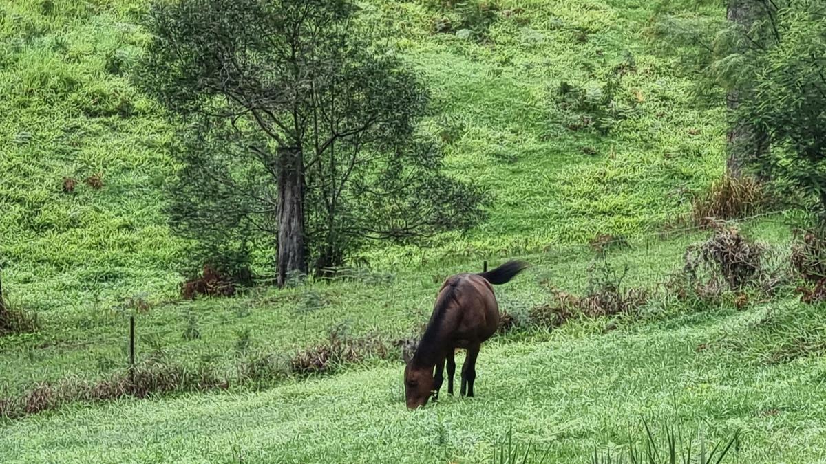 HydeAwayCreek Farm