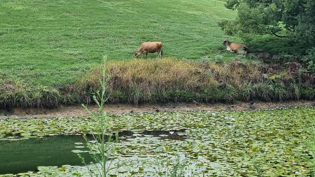 HydeAwayCreek Farm