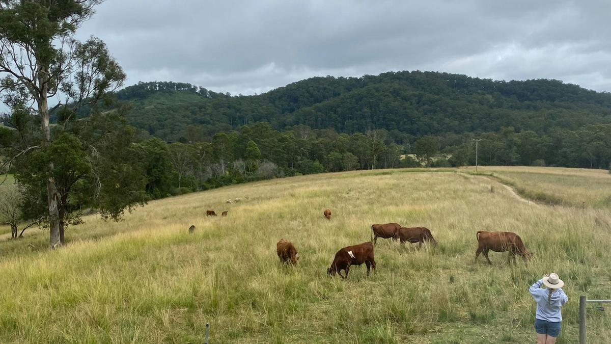 Ewetopia Farm