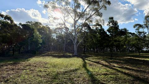 Janisa | Horse and Dog Friendly Stay
