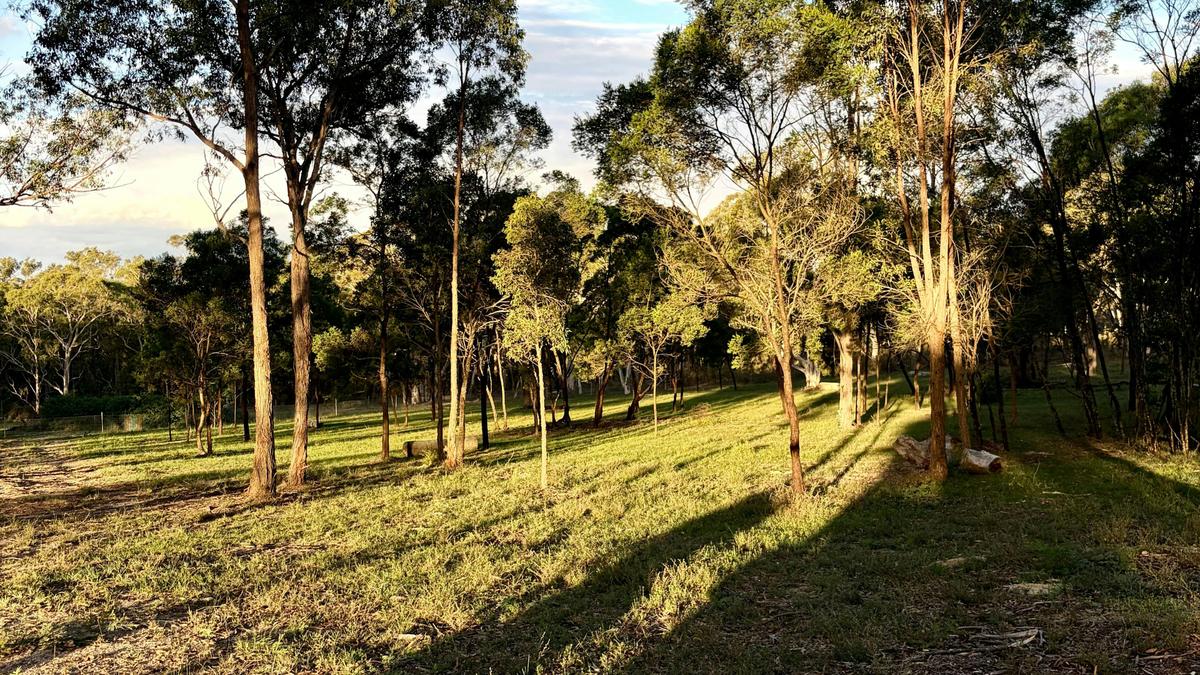 Janisa | Horse and Dog Friendly Stay