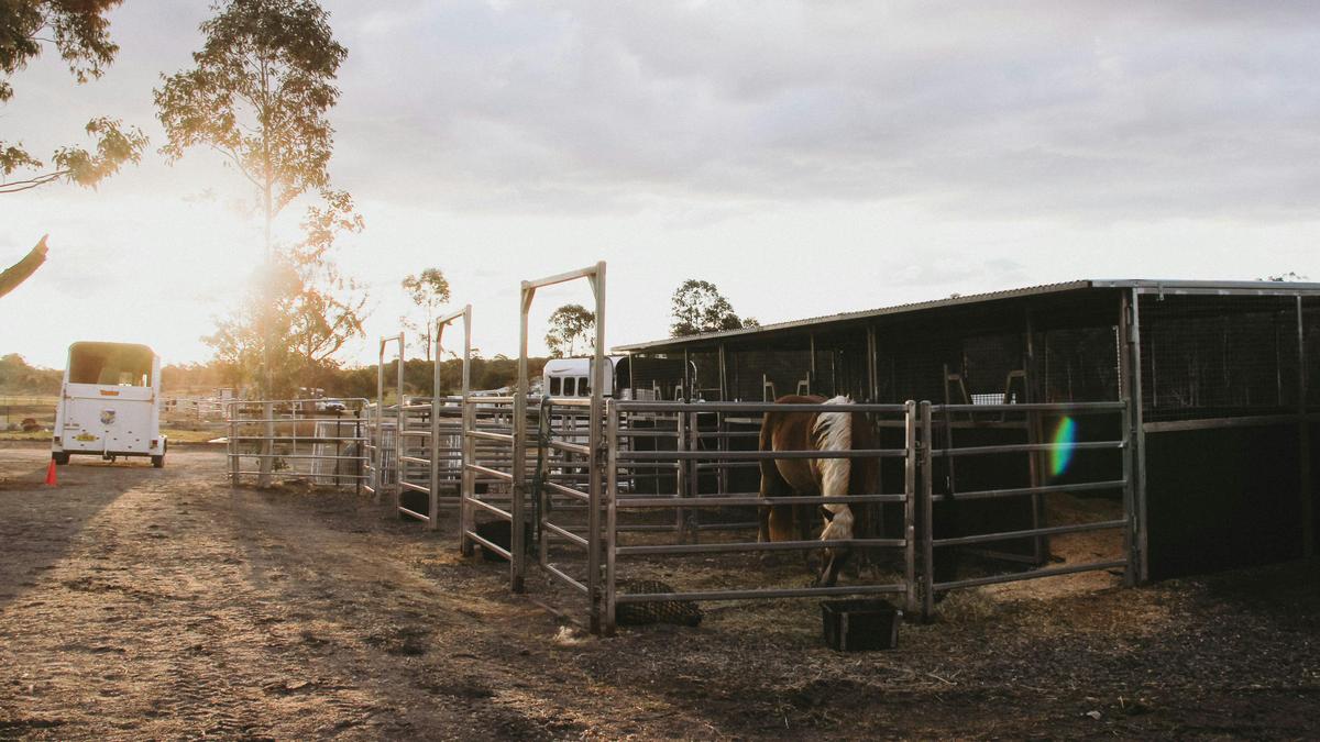 Janisa | Horse and Dog Friendly Stay