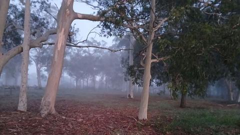 Hunter Valley Homestead
