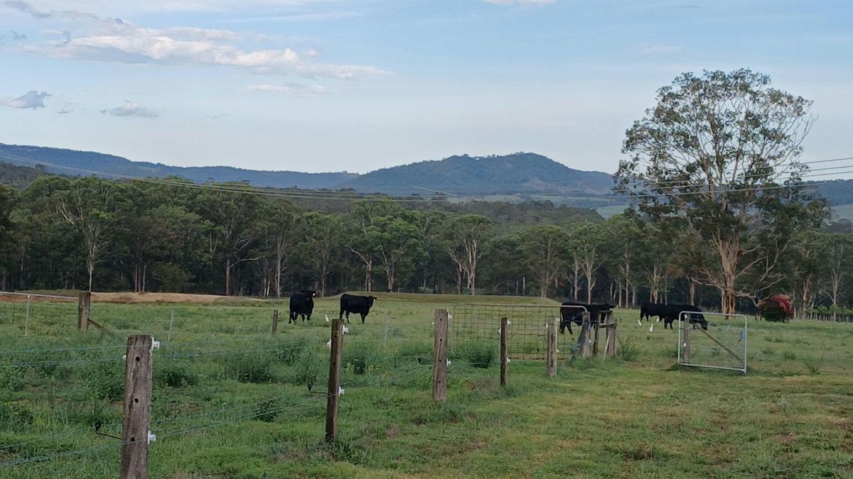Hunter Valley Homestead