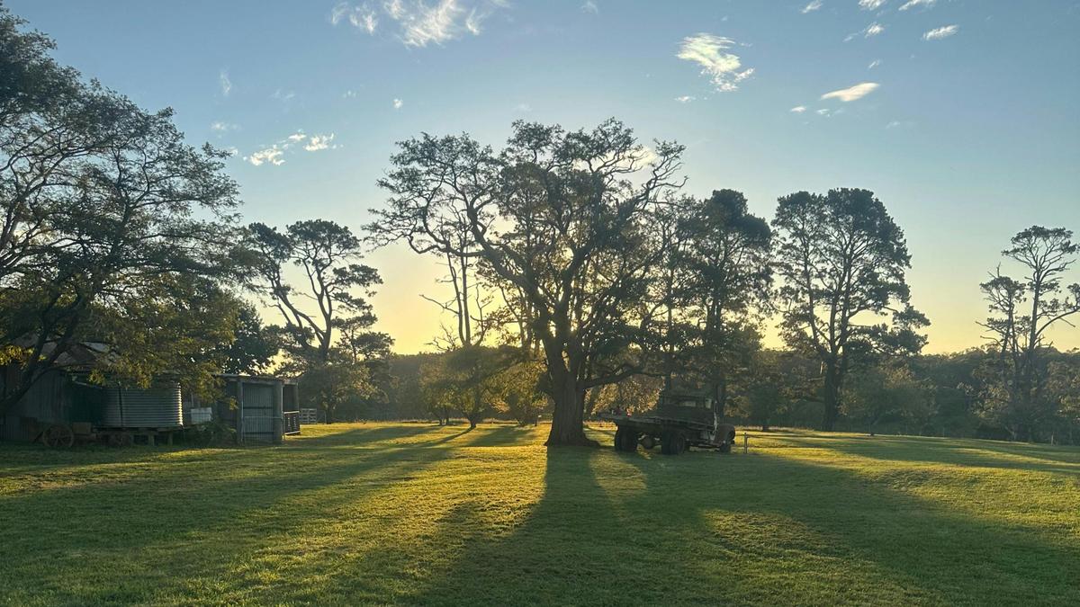 Joadja Notlaw Orchard
