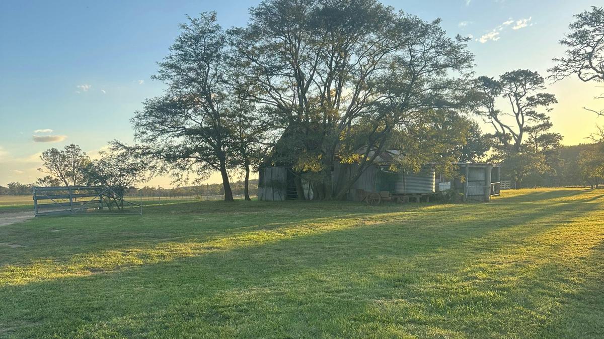 Joadja Notlaw Orchard