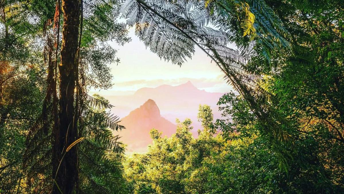 Kinabalu Farm