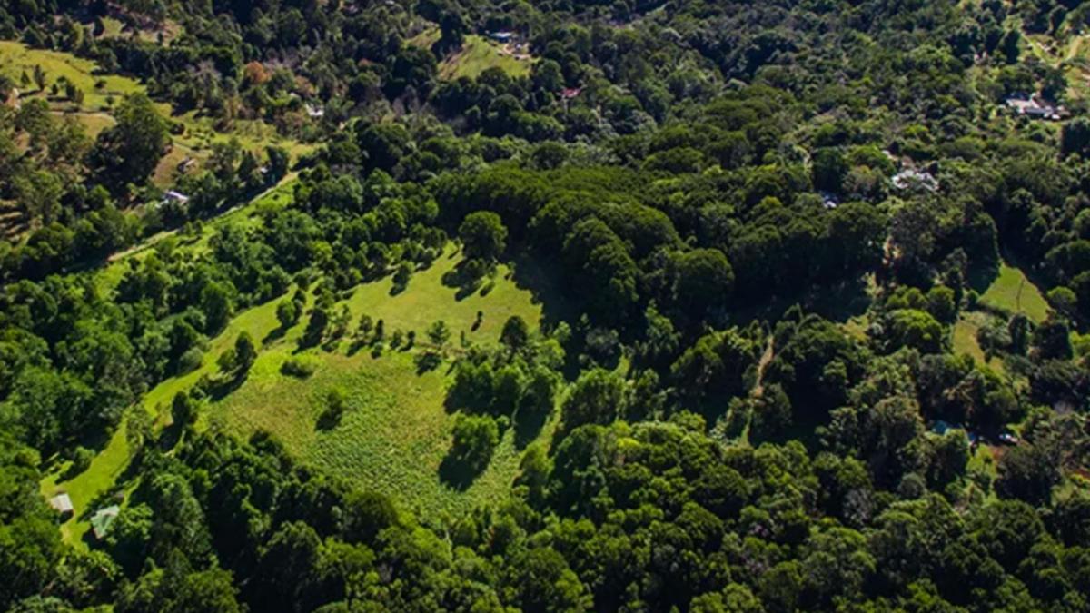 Hinterland Creek Retreat