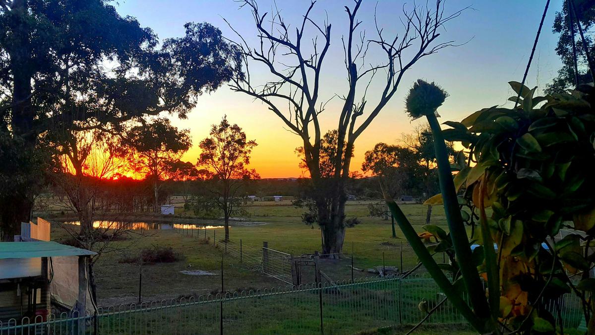 Isalie Homestead Organic Farm