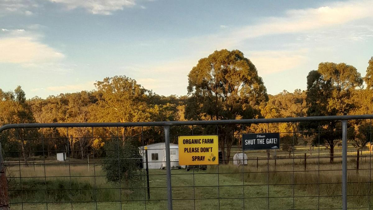 Isalie Homestead Organic Farm
