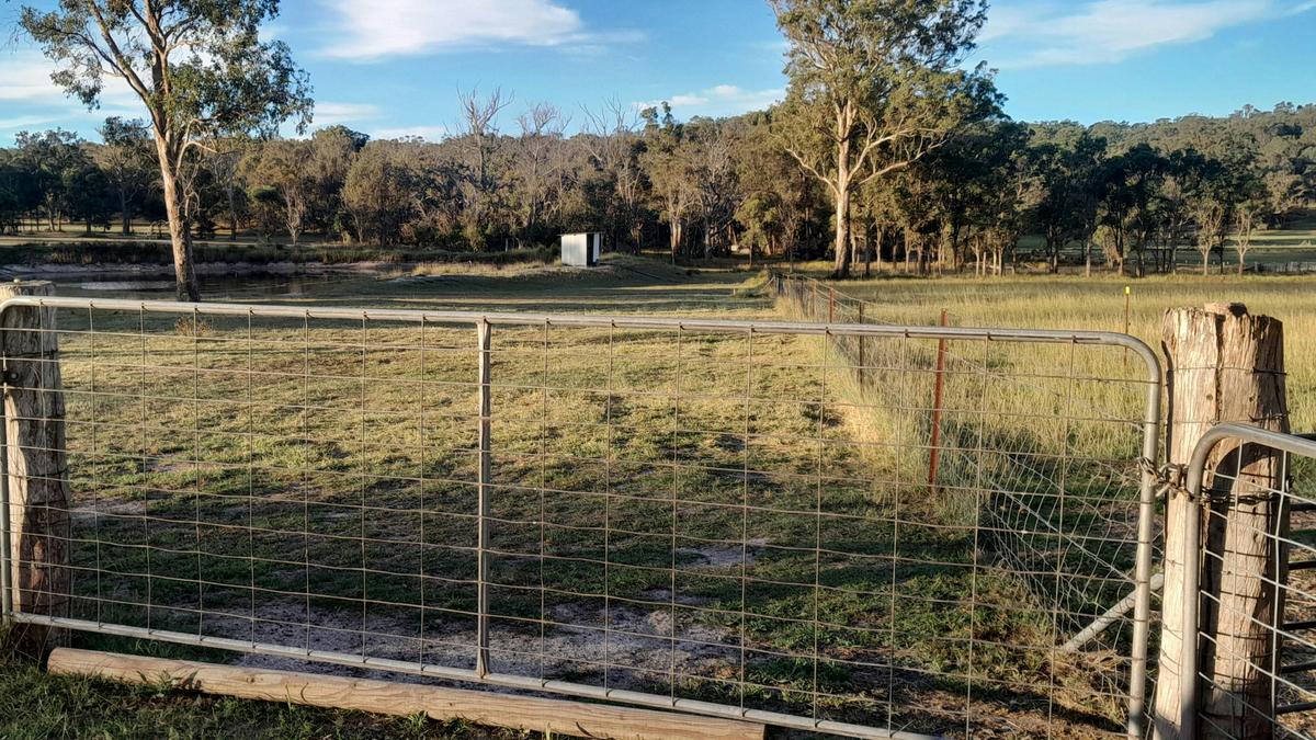 Isalie Homestead Organic Farm