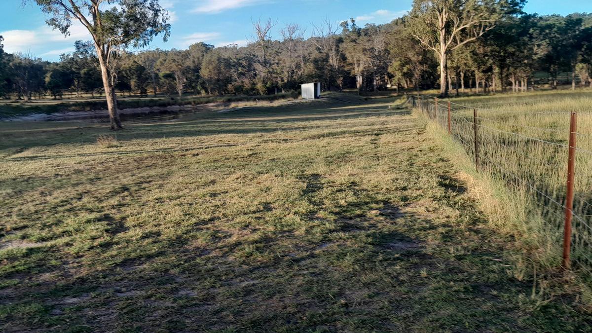 Isalie Homestead Organic Farm