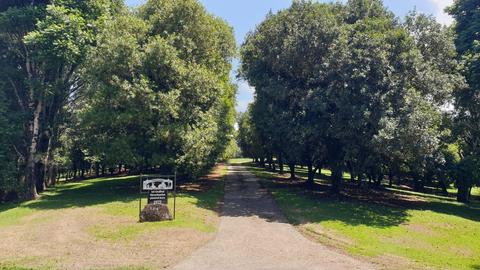 Mill Farm
