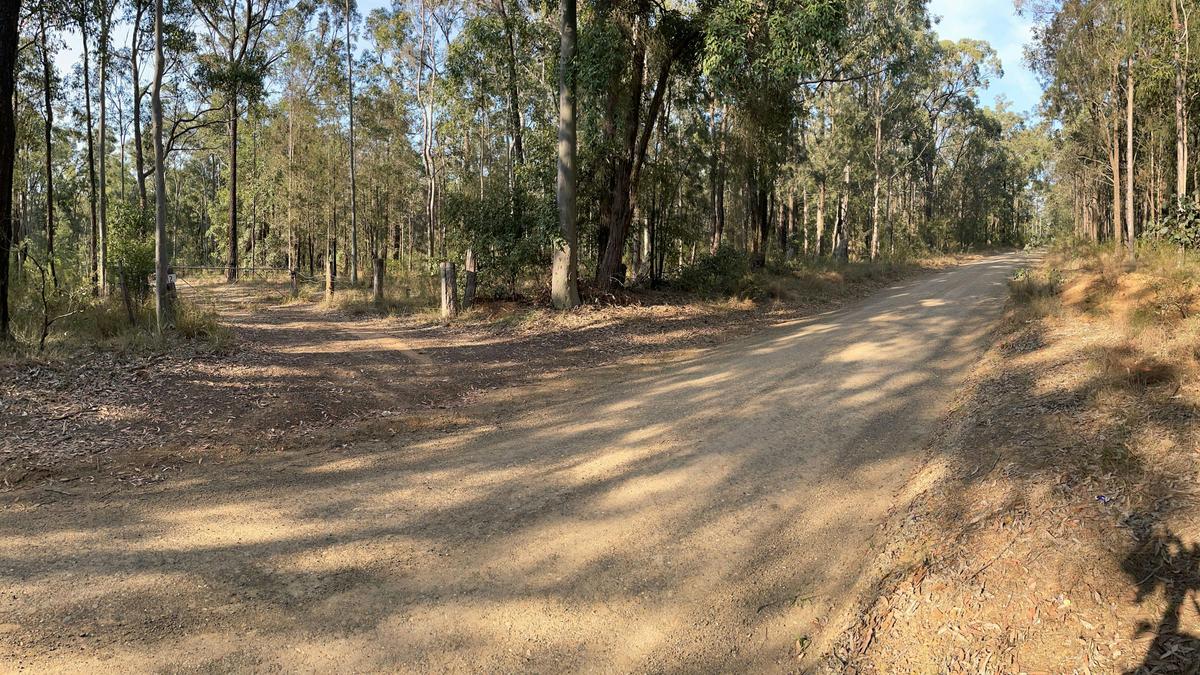 A taste of bush camping