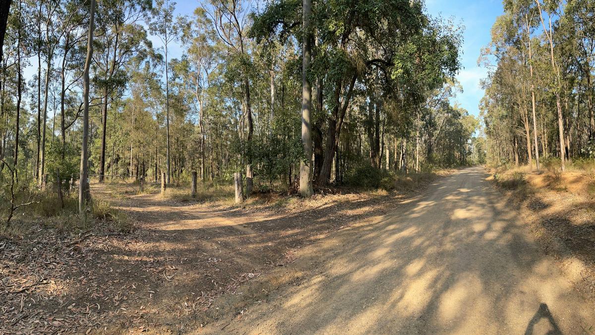 A taste of bush camping