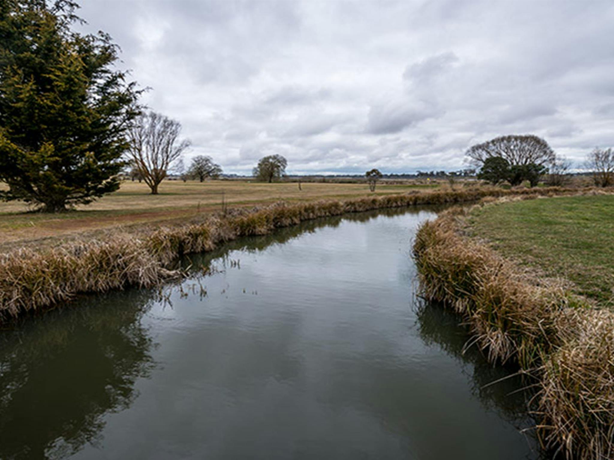 Lagoon shores, Mother of Ducks Lagoon Nature Reserve. Photo: John Spencer &copy; DPIE