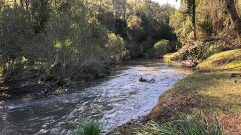 Glendaryn Campgrounds