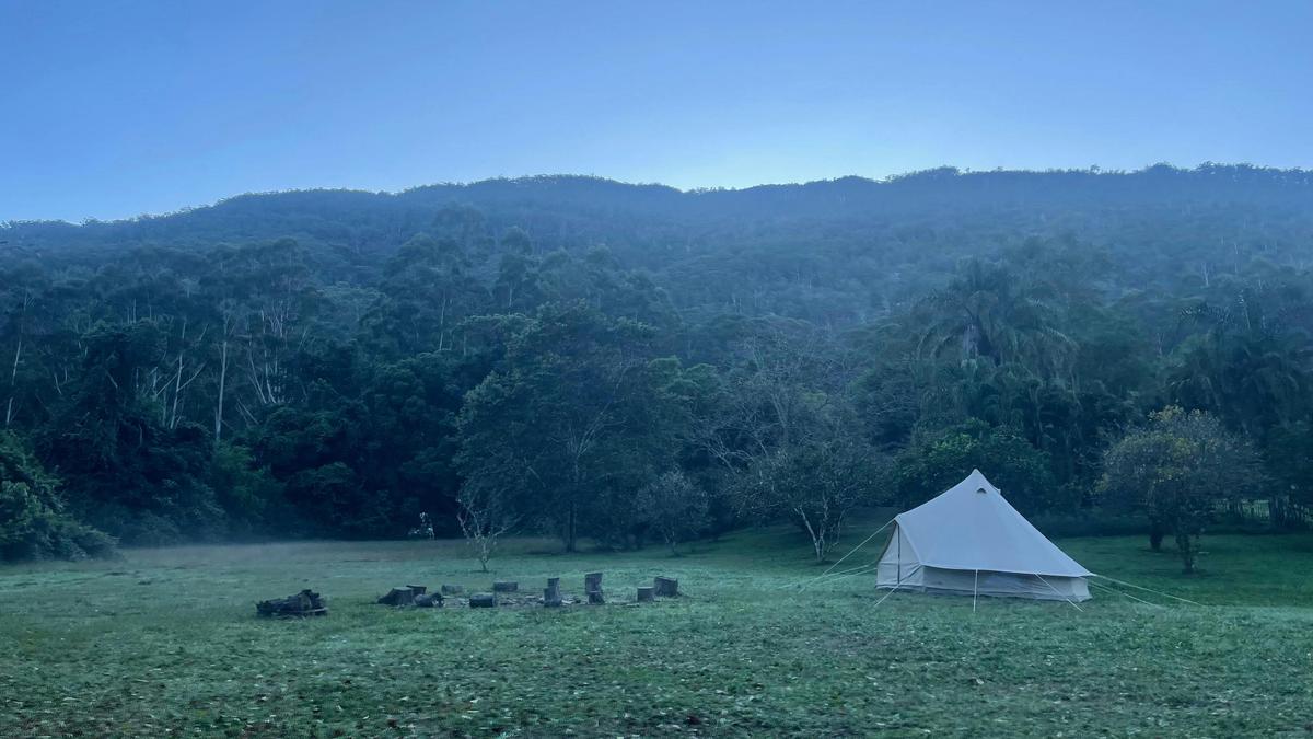 Falls Forest Retreat