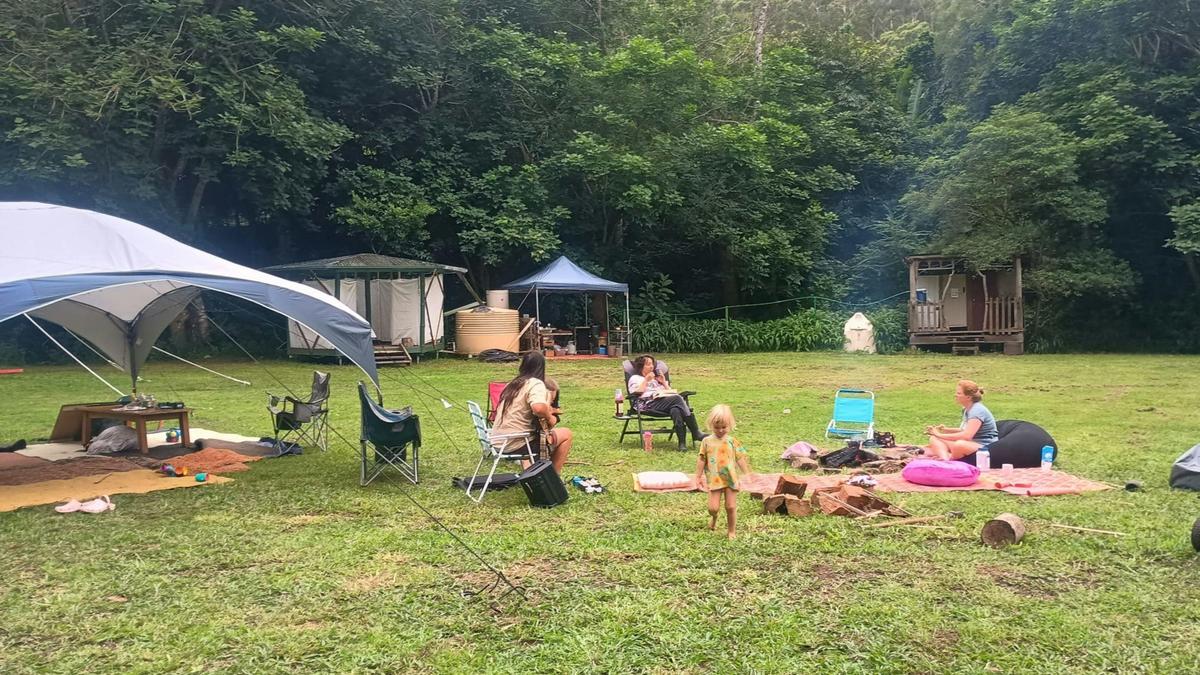 Falls Forest Retreat