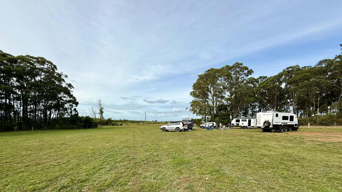 Plantation Gully