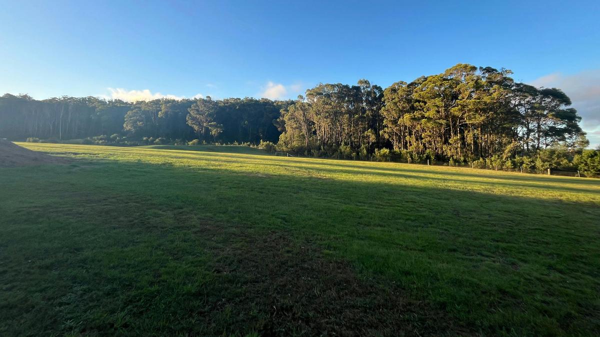 Plantation Gully