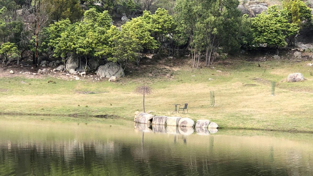Rock Lily Springs