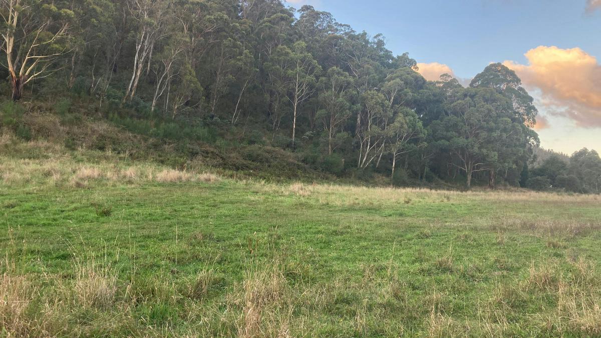 Good Paddock