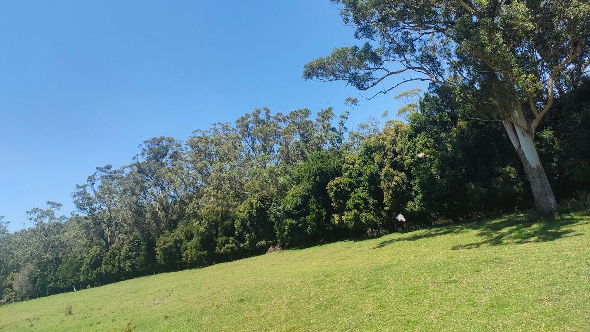 Riviera Farm