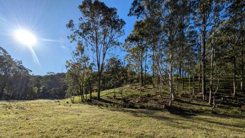 Wollombi Valley Bushland Farm