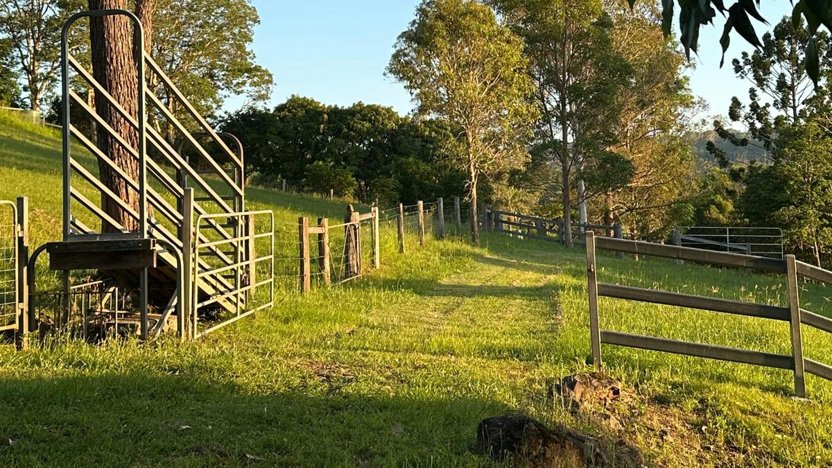 The Ranch at Howards Grass