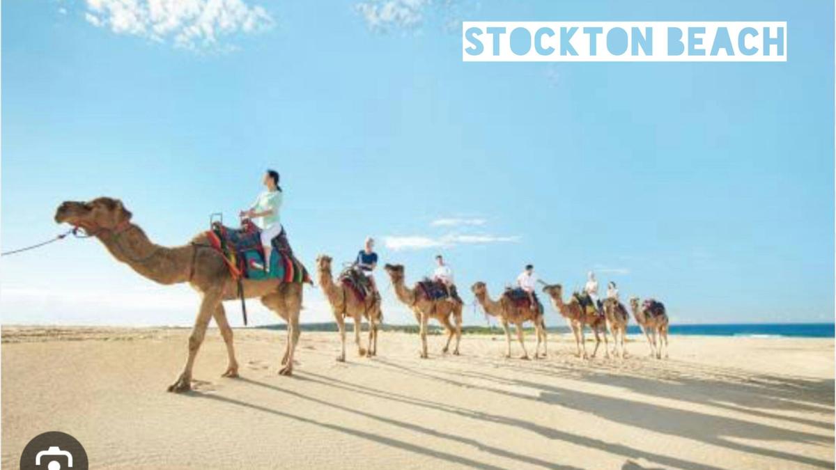 The Heart of Port Stephens