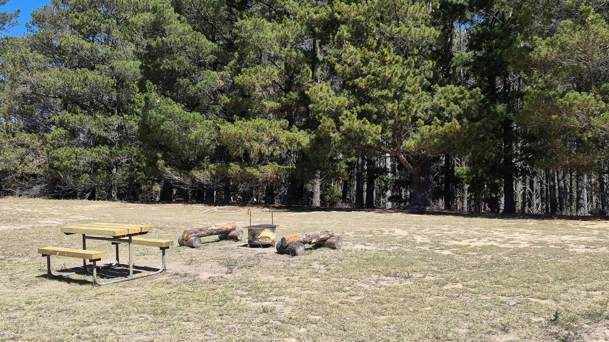 Themeda Farm Campground