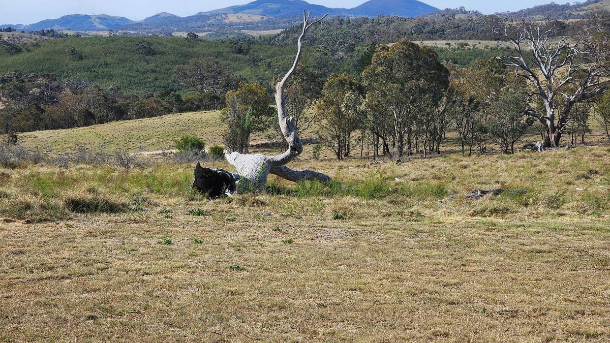 Themeda Farm Campground