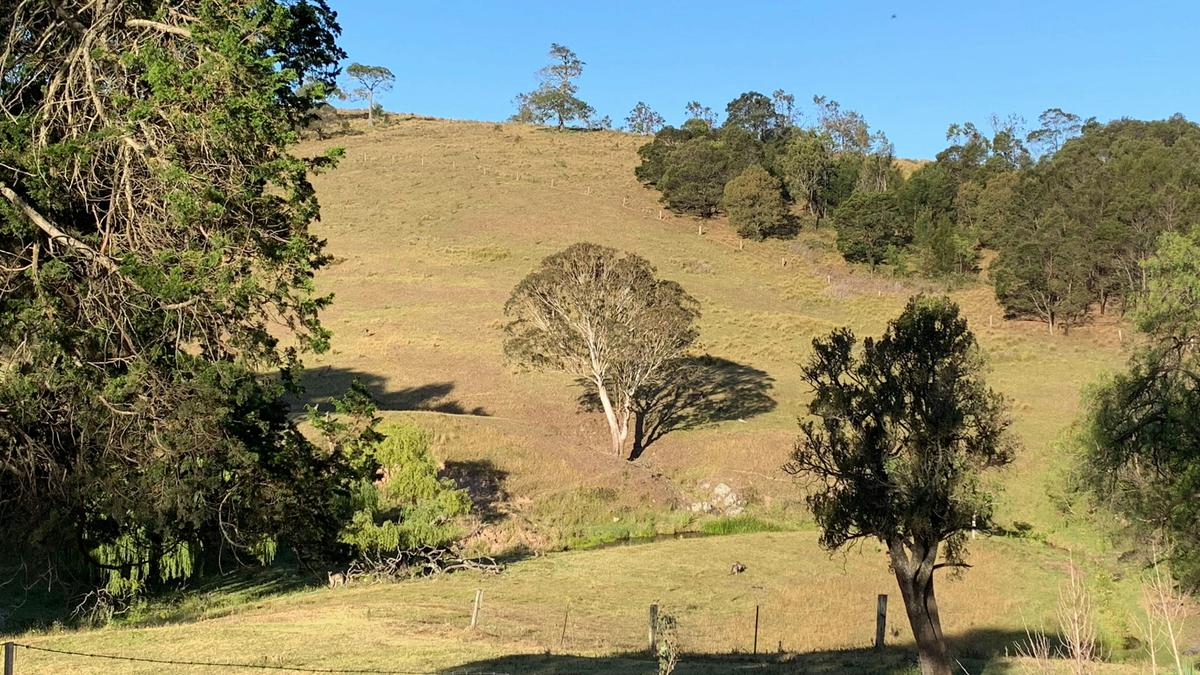 Waikeri Park
