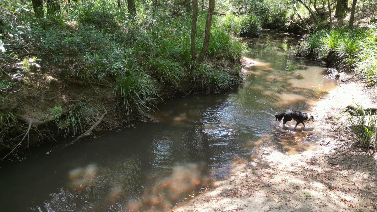 Up The Creek
